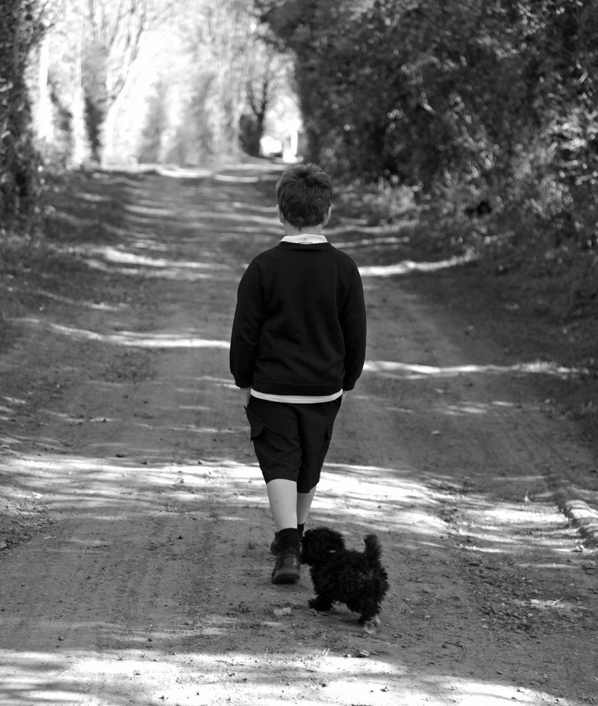 قدم‌زدن پسر با سگش