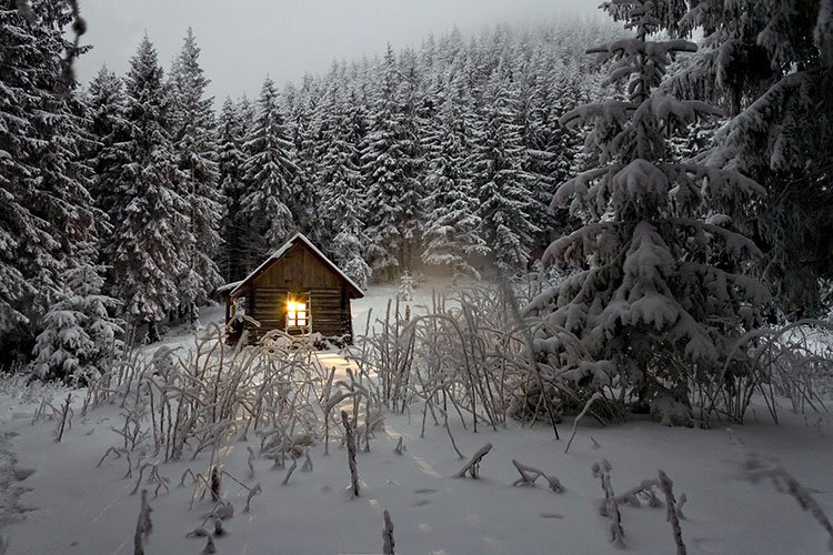 کلبه در برف