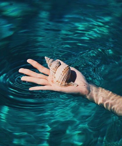 Shell in palm