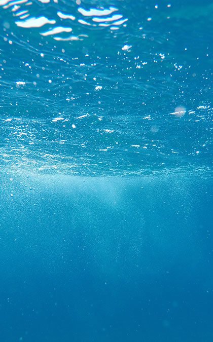 Beneath the water surface