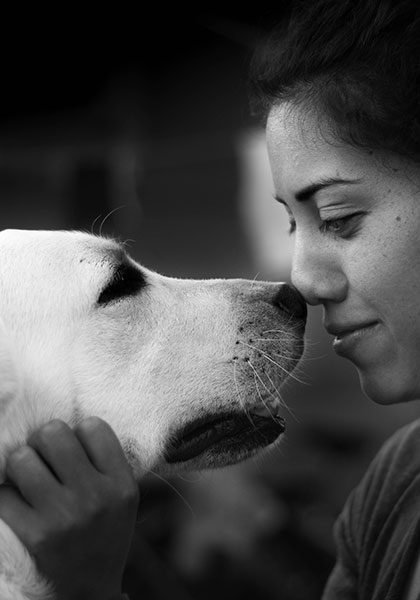 Human dog friendship