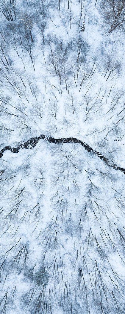 River aerial shot