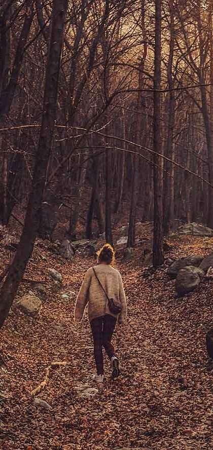 Girl walking in the jungle